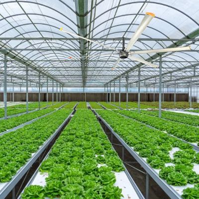1500W 220v Βιομηχανικός ανεμιστήρας οροφής HVLS για μεγάλους χώρους 6,1m 7,3m 12ft 10ft διάμετρος