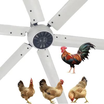Αθόρυβος 1.5kW 24FT υψηλής ταχύτητας HVLS Μεγάλος βιομηχανικός ηλεκτρικός ανεμιστήρας οροφής με κινητήρα PMSM