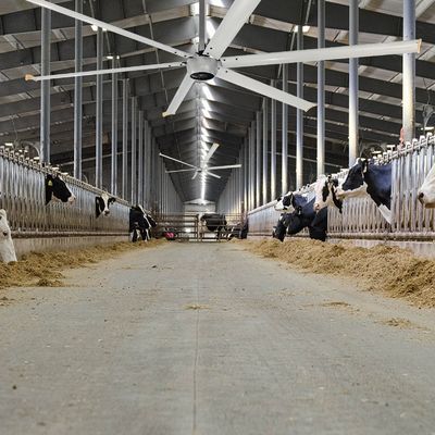 Αθόρυβος 1.5kW 24FT υψηλής ταχύτητας HVLS Μεγάλος βιομηχανικός ηλεκτρικός ανεμιστήρας οροφής με κινητήρα PMSM