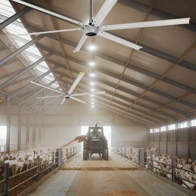 Αθόρυβος 1.5kW 24FT υψηλής ταχύτητας HVLS Μεγάλος βιομηχανικός ηλεκτρικός ανεμιστήρας οροφής με κινητήρα PMSM