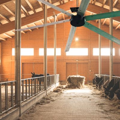 1.5kw 3 φάσεις AC BLDC ανεμιστήρα για 10ft 12ft 16ft 18ft Big Wind Workshop