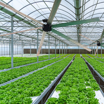 Ενίσχυρος 1.5kw επαγωγικός HVLS bldc ανεμιστήρας κινητήρας για 10ft 12ft 16ft 18ft Big Wind Workshop