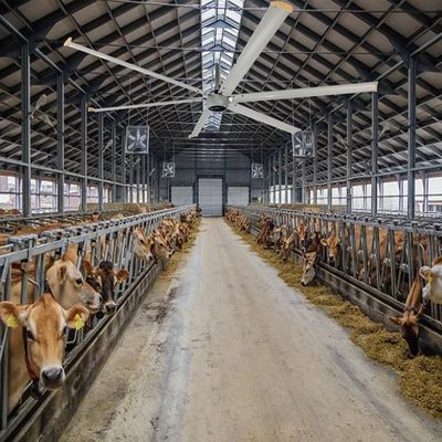 1300W HVLS ανεμιστήρας κινητήρα για ψύξη και εξαερισμό σε μεγάλους βιομηχανικούς χώρους οροφής