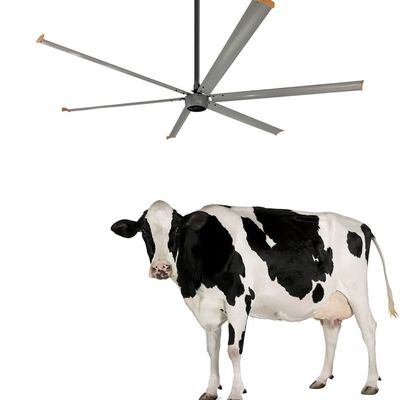 Εγκατάσταση 13ft Μεγάλη διάμετρος 3 Φάσης 220V 750W Βιομηχανικός αδιάβροχος AC HVLS ψύξη BLDC ανεμιστήρας κινητήρας