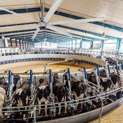 Μεγάλος όγκος εμπορικός HVLS Bldc ανεμιστήρας κινητήρας 10ft 8ft γιγάντιος κινητήρας PMSM με τριστάσιο